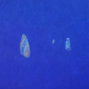 óleo sobre tela
200 x 200 cm.